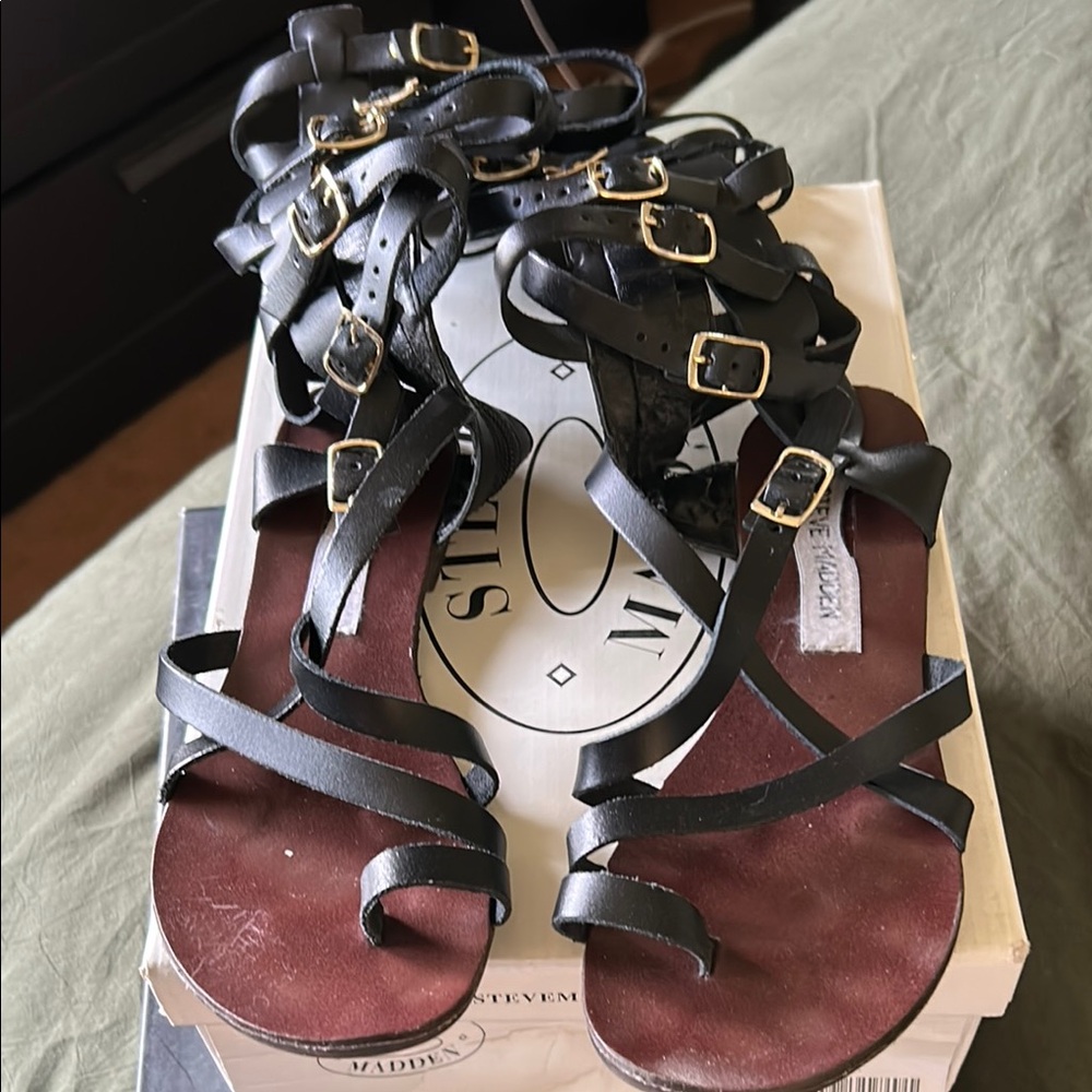 Steve Madden RIVAAL gladiator sandals